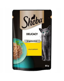 SHEBA Delicacy 85g :Nassvollnahrung für adulte Katzen mit Hühnerstücken in Gelee