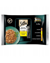SHEBA Selection Select Slices 4x85g: Nassfutter mit Ente, Huhn, Geflügel, Ente und Truthahn für Katzen