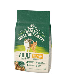 JAMES WELLBELOVED Adult 4 kg Trockenvollnahrung für ausgewachsene Katzen von 1-7 Jahren, reich an Pute
