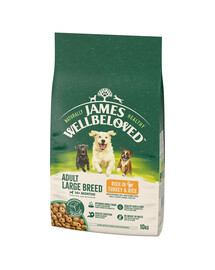 JAMES WELLBELOVED Adult 10 kg Trockenvollnahrung für ausgewachsene Hunde großer Rassen von 14 Monaten bis 10 Jahren mit Putenfleisch und Reis