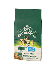 JAMES WELLBELOVED Adult 12 kg Trockenvollnahrung für ausgewachsene Hunde von 1-7 Jahren, reich an Fisch und Reis
