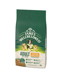 JAMES WELLBELOVED Adult 12 kg Trockenvollnahrung für ausgewachsene Hunde von 1-7 Jahren mit Putenfleisch und Reis