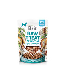 BRIT Raw Treat Freeze Dried Skin Coat 40 g