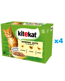 KITEKAT 48x85 g Vollwertiges Nassfutter in Gelee für ausgewachsene Katzen mit Huhn, Pute und Geflügel.