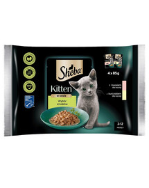 SHEBA Kitten 5x4x85g Nassfutter mit Lachs und Huhn für Kätzchen
