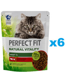 PERFECT FIT Natural Vitality 1+ Trockenfutter mit Rind und Huhn 6x650 g