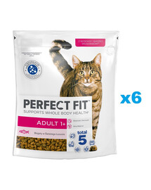 PERFECT FIT (Adult 1+) 6x750g Reich an Lachs – Trockenfutter für Katzen
