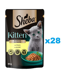 SHEBA Kitten Beutel 28x85 g: Nassfutter für Kätzchen mit Hühnerstücken in Sauce