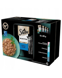 SHEBA Selection Fisch Geschmacks in Soße 48x85g Nassfutter mit Lachs und schwarzem Kabeljau, Weißfisch, Meeresfisch, Kabeljau für Katzen