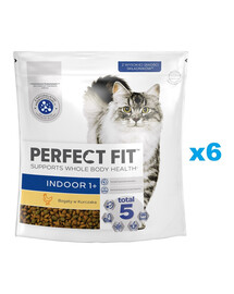 PERFECT FIT (Indoor 1+) 6x750g Reich an Huhn – Trockenfutter für Wohnungskatzen