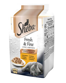 SHEBA Fresh & Fine 6x50g: Nassvollnahrung für adulte Katzen mit Huhn und Truthahn in Sauce