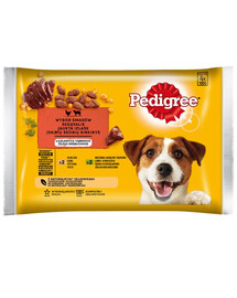PEDIGREE Adult Mix in Gelee 4x100g: Nassfutter für adulte Hunde mit Huhn und einer Mischung aus Lammfleisch und Leber