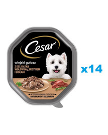 CESAR Schale 14x150 g Nassvollnahrung in Sauce für ausgewachsene Hunde mit zartem Putenfleisch und Kräutern