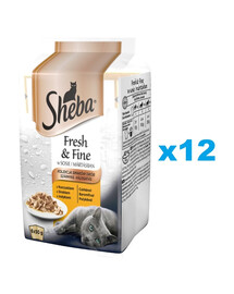 SHEBA Fresh & Fine 72x50g: Nassvollnahrung für adulte Katzen mit Huhn und Truthahn in Sauce