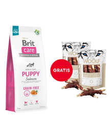 BRIT Care Grain-free Puppy Trockenfutter mit Lachs 12 kg + WOOLF Chicken And Rawhide Twister 2 x 100g Trockenhaut umhüllt mit Hähnchen GRATIS