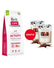 BRIT Care Dog Sustainable Activity Chicken & Insect für Hunde mit Hähnchen und Insekten 12 kg + WOOLF Chicken And Rawhide Twister 2 x 100g GRATIS
