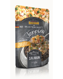 BELCANDO Mastercraft Topping Nassfutter Lachs mit Brokkoli für adulte Hunde getreidefrei 24x100 g
