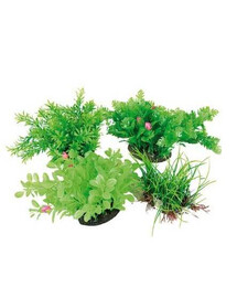 ZOLUX Belüfter als Dekoration Aeroplant 17cm 1 Stück