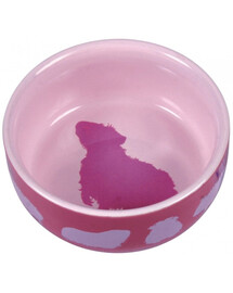 Miska Ceramiczna Dla Świnki Morskiej Z Motywem