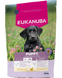 EUKANUBA Puppy Trockenfutter mit Huhn für Welpen großer Rassen 800 g