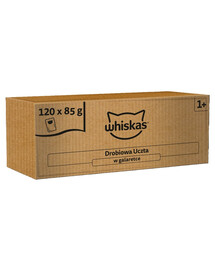WHISKAS Adult 120x85 g feuchte Vollnahrung für erwachsene Katzen in Gelee