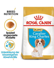 ROYAL CANIN Cavalier King Charles Spaniel Puppy 4x1,5 kg