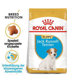 ROYAL CANIN Jack Russell Terrier Puppy Junior Trockenfutter für Welpen bis zu 10 Monaten, Jack Russell Terrier 4x1.5 kg
