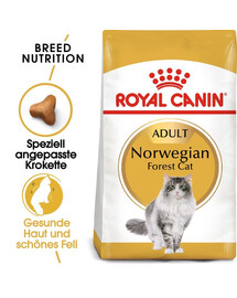 ROYAL CANIN Norvegian Trockenfutter für adulte Norwegische Waldkatzen 4x2 kg