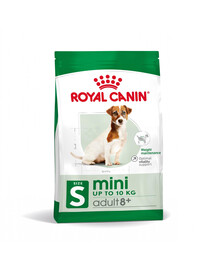 ROYAL CANIN Mini Adult 8+ Trockenfutter für ältere Hunde kleiner Rassen im Alter von 8 bis 12 Jahren 6x800 g