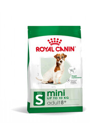 ROYAL CANIN Mini Adult 8+ Trockenfutter für ältere Hunde kleiner Rassen im Alter von 8 bis 12 Jahren 12x800 g