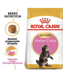 ROYAL CANIN Maine Coon Kitten 12x400 g