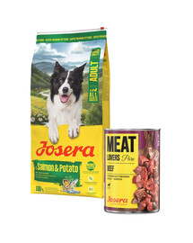 JOSERA Salmon and Potato Adult getreidefreies Futter für Hunde mit empfindlichem Magen 12,5 kg + 800g GRATIS