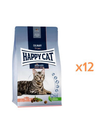 ANIMONDA Vom Feinsten Fines mit Filets Nassfutter mit Ente und Putenfilet für adulte Katzen 12x85g