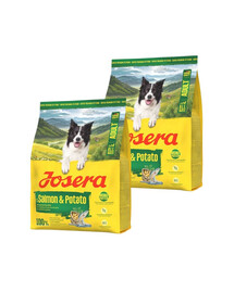 JOSERA Salmon and Potato Adult getreidefreies Futter für Hunde mit empfindlichem Magen 2x900g