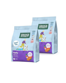 GREEN PETFOOD InsectDog Vitalität Trockenfutter mit Insektenprotein und Ente für adulte Hunde 2x900g