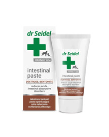 DR SEIDEL Intestinal Paste bei Darmstörungen 40g