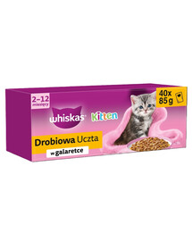 WHISKAS Junior Nassfutter mit Huhn, Ente, Geflügel und Pute in Gelee für Kätzchen 4x40x85g