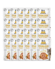 CARE Fillets in Gravy Pouch Sterilized Savory Salmon&Tuna 24x85g z łososiem i tuńczykiem dla kotów sterylizowanych