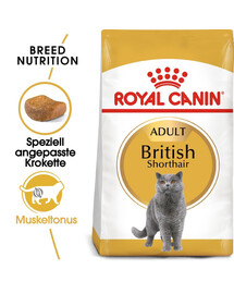 ROYAL CANIN British Shorthair Katzenfutter trocken für Britisch Kurzhaar 3x400 g
