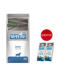 FARMINA Vet Life Dog Joint für gesunde Gelenke 12 kg + dentale Leckerei Medium/Maxi 2x100 g GRATIS!
