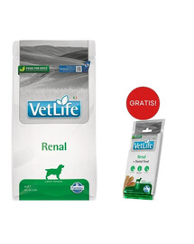 FARMINA Vet Life Renal Dog 2 kg + Dental Treat Renal Medium/Maxi 100 g GRATIS!