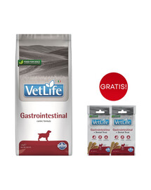 FARMINA Vet Life Gastrointestinal für Hunde mit Verdauungsproblemen 12 kg + dentale Leckerlis 2x60 g GRATIS!