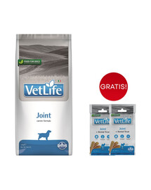 FARMINA Vet Life Dog Joint für gesunde Gelenke 12 kg + Zahnpflege-Leckerli 2x60 g GRATIS!