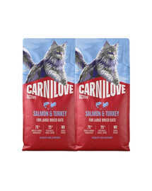 CARNILOVE Active Trockenfutter mit Lachs und Pute für adulte große Katzenrassen getreidefrei 2x6 kg