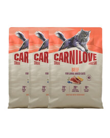 CARNILOVE True Fresh Adult Large mit Rind für große Katzenrassen getreidefrei 3x2 kg