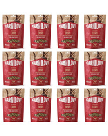 CARNILOVE Crunchy Lamb knusprige Snacks mit Lamm und Brombeeren für Katzen 12x50g