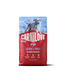 CARNILOVE Active Junior Large Breeds Trockenfutter Lachs und Truthahn für Junghunde großer Rassen 4 kg