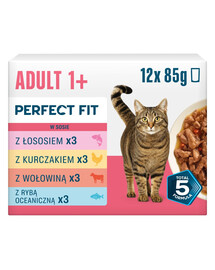 PERFECT FIT Adult 1+ Nassfutter mit Lachs, Huhn, Rind und Ozeanfisch für adulte Katzen 12 x 85g