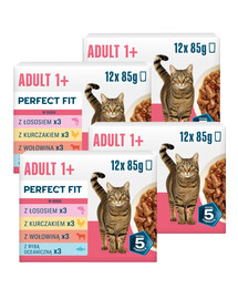 PERFECT FIT Adult 1+ Mix Geschmacks Nassfutter für adulte Katzen 48 x 85g