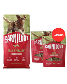CARNILOVE Active Trockenfutter Ente und Fasan für adulte Hunde getreidefrei 12 kg + Soft Snack Duck 2x200g